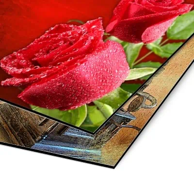 Aluminium Dibond blanc 3 mm